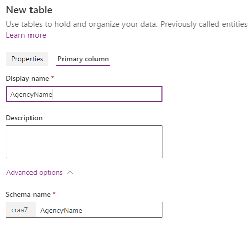 screenshot of Dataverse -table schema name